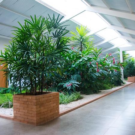 Hotel Vila Verde Penápolis Kültér fotó